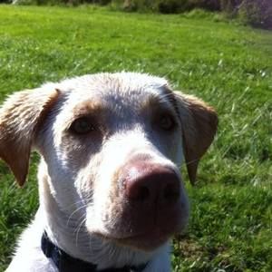 Meet your Posher, Jo-ann